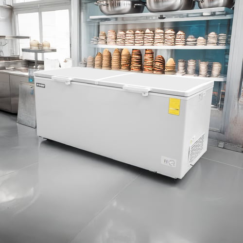 checklist–saber-negocio-necesita-refrigerador-congelador-adicional4
