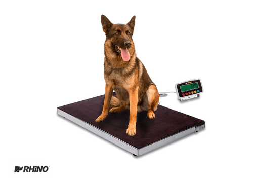 tipos-basculas-digitales-plataforma-veterinarias